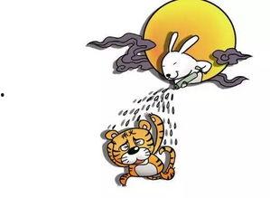 娱乐吃瓜君喷水头飞天,揭秘幕后真相